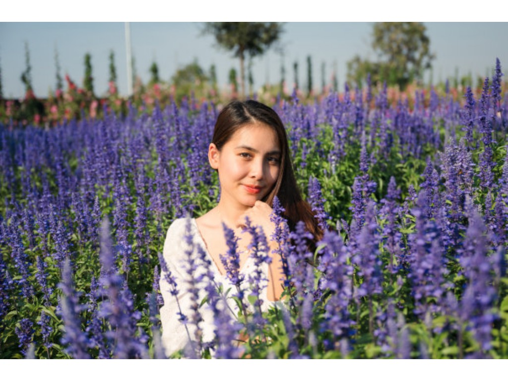 原始传奇终极盾牌怎么用？(传奇私服如何更改技能？)缩略图