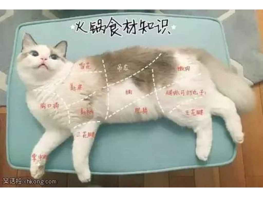 传奇单职业哪个服最强人多？(传奇sf密保怎么改？)