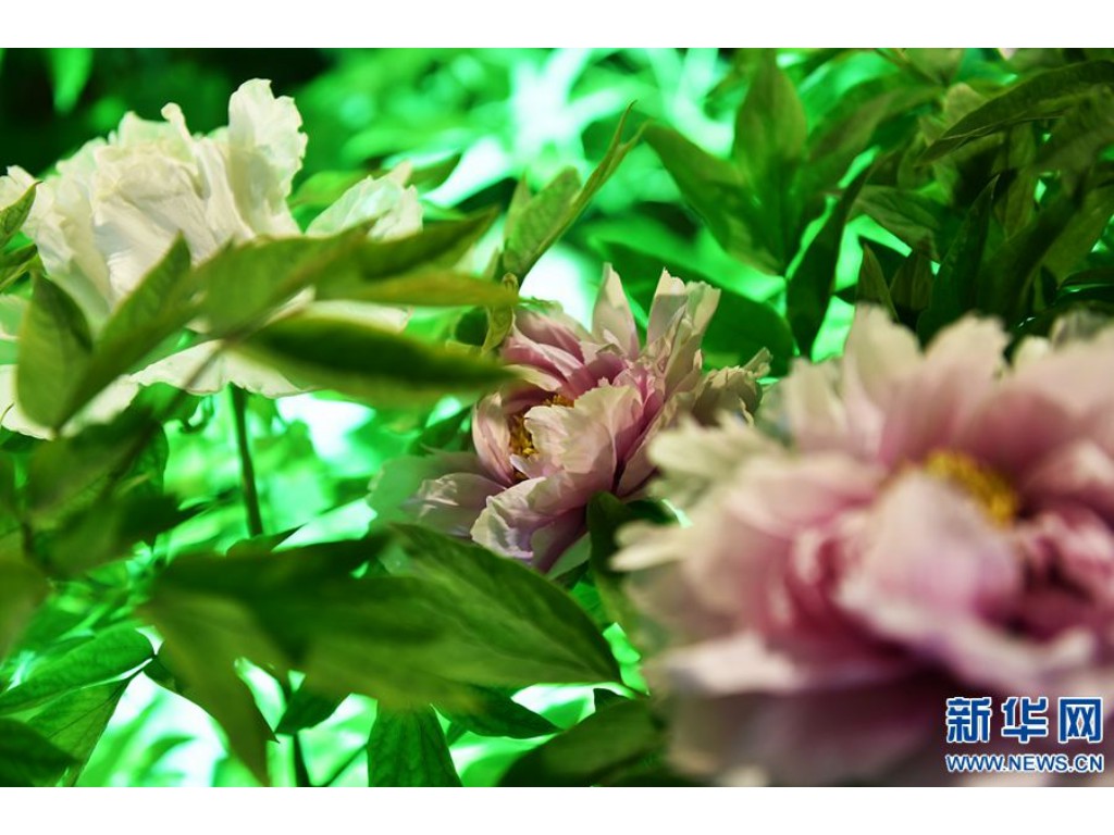 什么传奇手游不花钱玩？(现在什么传奇手游最火爆好玩？)