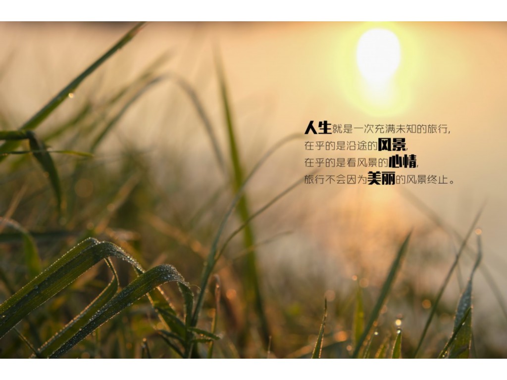 为什么我的电脑一玩传奇sf5分钟后就卡死？(自己如何代理传奇手游？)